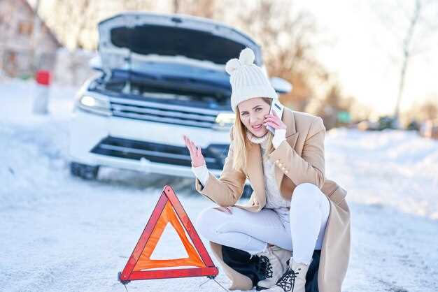 Battery Care for Classic Cars in Winter