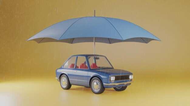 Regional Weather Patterns and Their Effect on Premium Costs