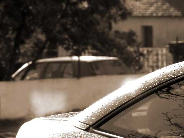 Understanding Comprehensive Coverage for Weather Damage