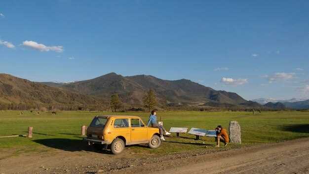 Choosing the Perfect Vintage Car for Your Journey